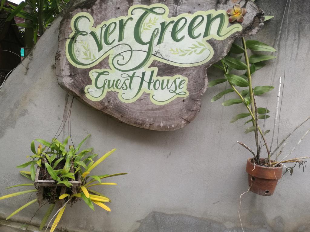 Ever Green Guest House Pai Extérieur photo